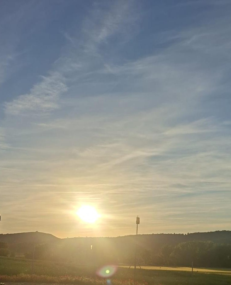 Atardecer visto desde la Nave de los Espárragos: el Sol, muy bajo y anaranjado, sobre una loma alargada, con la vega y una hilera de árboles en primer término.